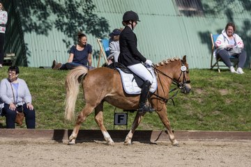 Bild 552 - Pony Akademie Turnier